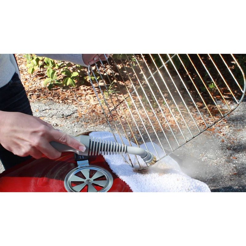 BISSELL ProHeat 2X Lift-Off Pet Upright Carpet Cleaner - 15651