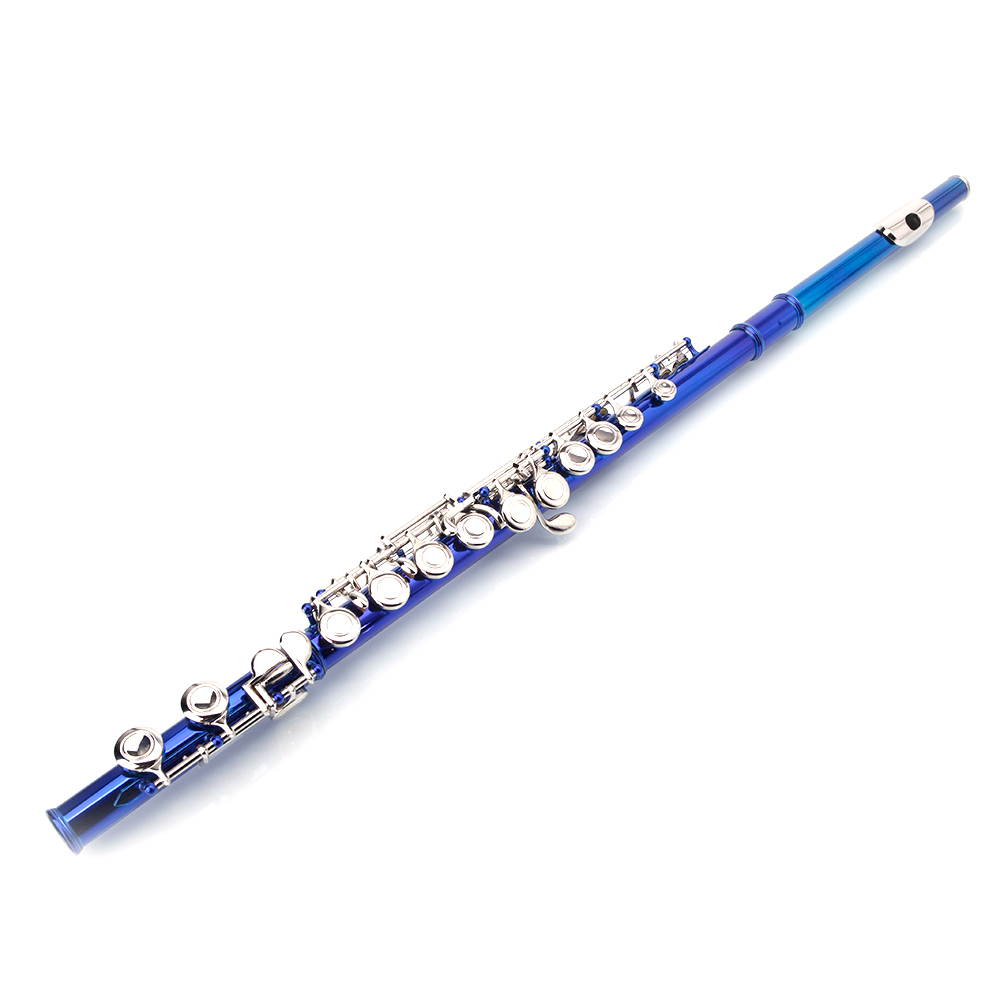 New Standard Blue School Band Student 16 Closed C Flute with Case&Accessories