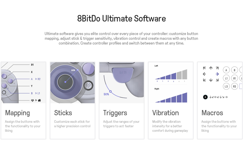 8Bitdo Lite Bluetooth Gamepad for Nintendo Switch Lite, Nintendo Switch & Windows (Turquoise Edition)