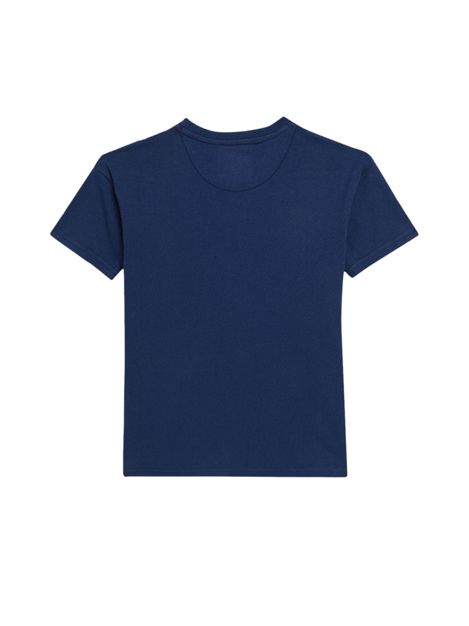 Blue Giraffe Kids Multicolor Striped T-Shirt