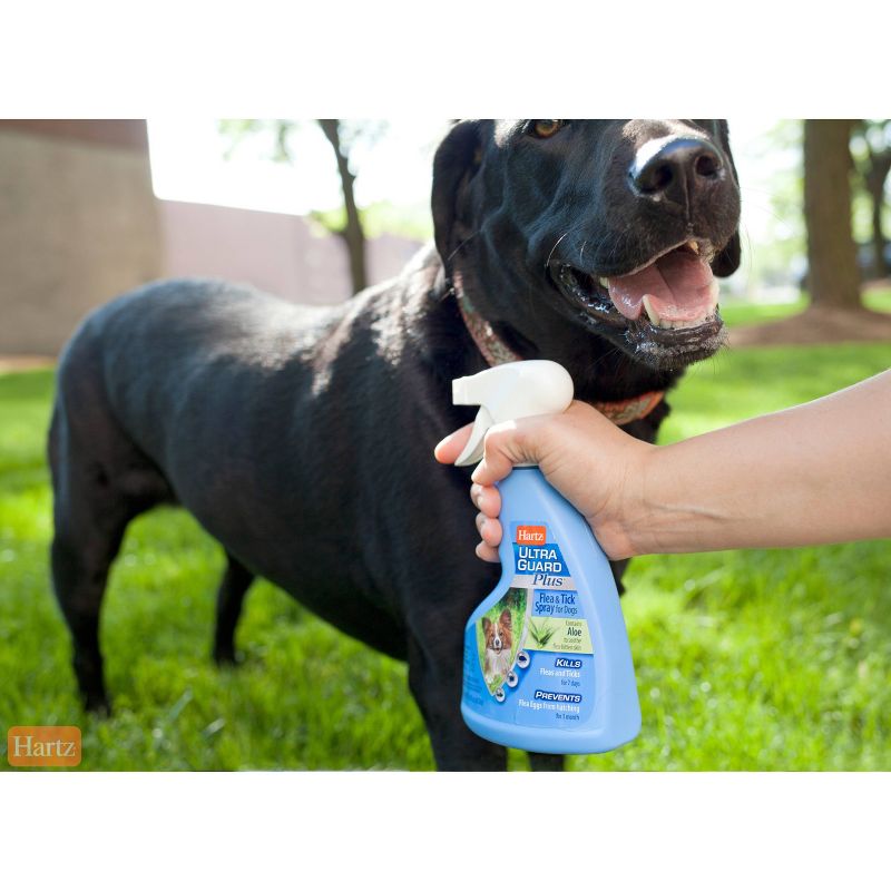 Hartz UltraGuard Plus Flea and Tick Spray for Dogs - 16oz