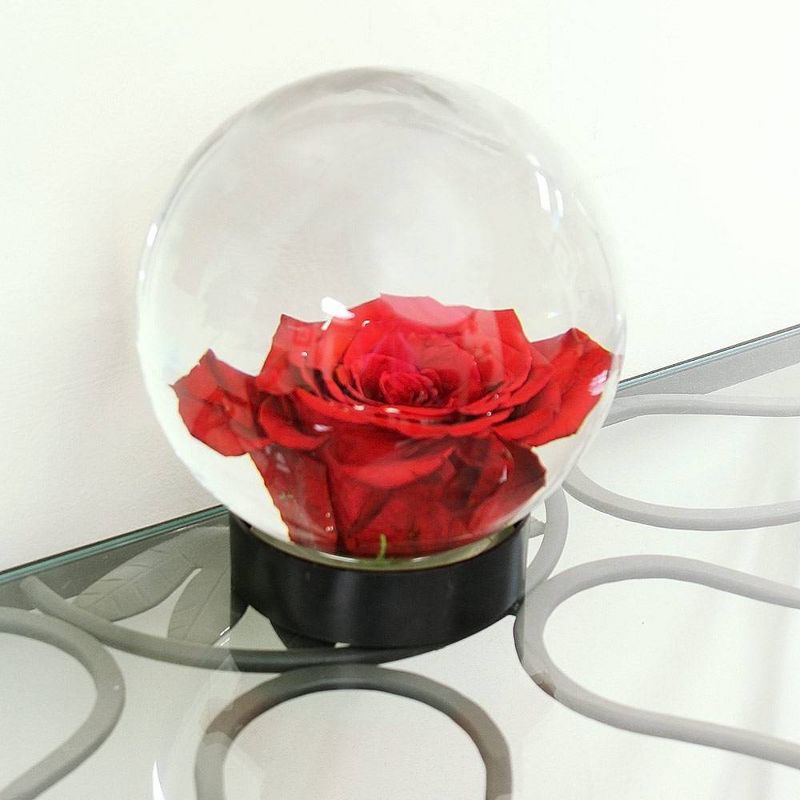 6.4" Glass Globe Vase Clear - ACHLA Designs
