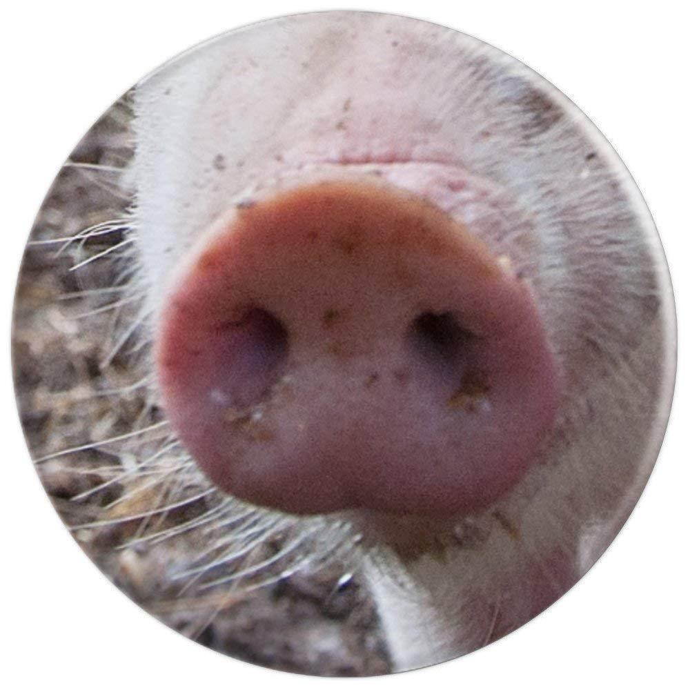 Cute Pig Nose - Adorable Pink Pig Nose - Oink Oink