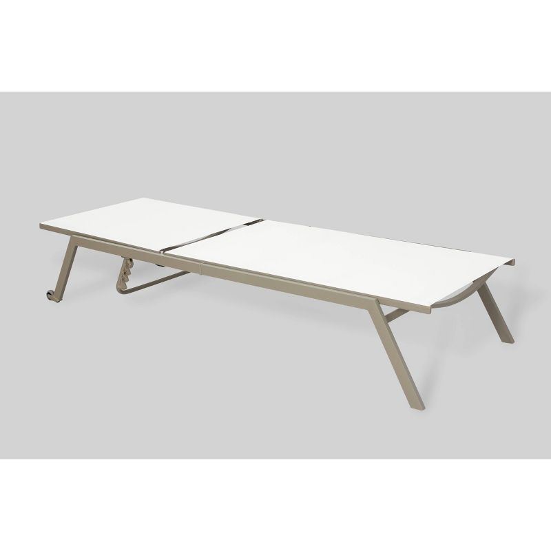 Princeton 2pk Outdoor Chaise Lounges - Ostrich