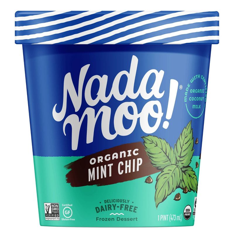 NadaMoo! Organic Mint Chip Dairy-Free Frozen Dessert - 16oz