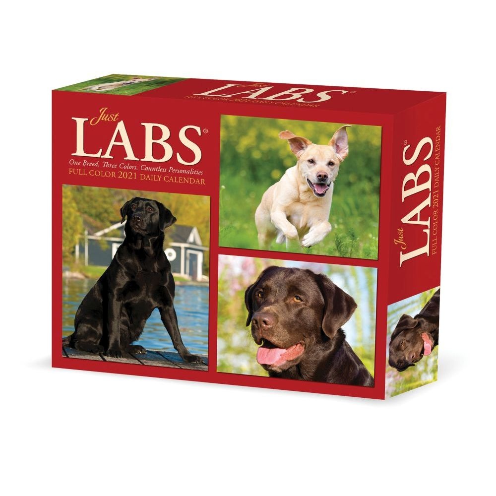 Just Labs 2021 Box Calendar (Dog Breed Calendar)