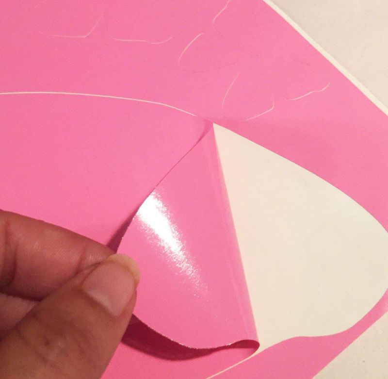 Create-A-Mural Butterfly Wall Decals- Girls Wall Stickers ~ Decorative Peel & Stick Wall Art Sticker Decals (Pink,Hot Pink,Black)