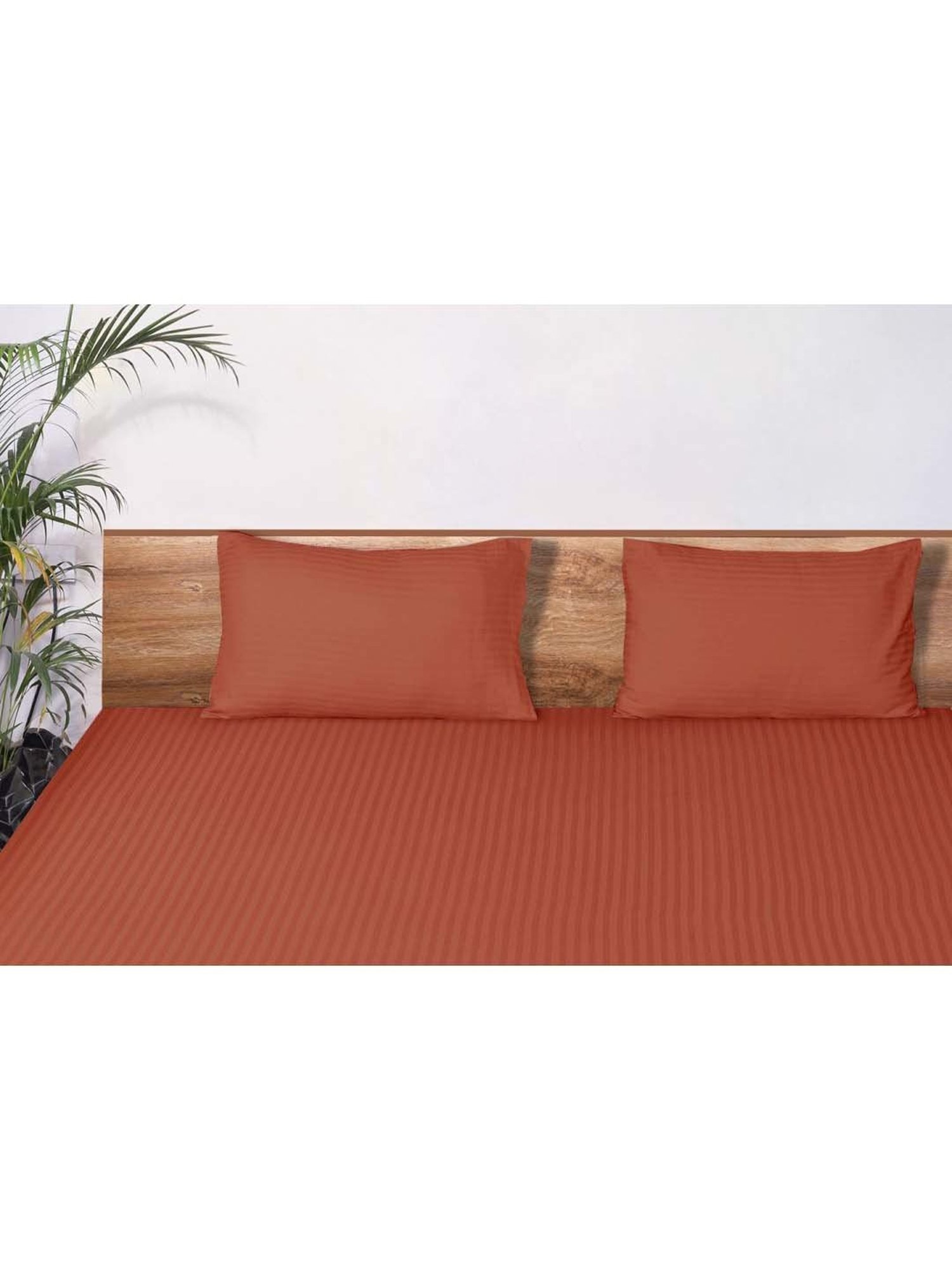 Mark Home Classic Rust Cotton 210 TC King Bedsheet with 2 Pillow Covers