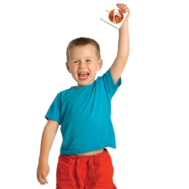 The Learning Journey: Match It! Spot Me 30 self correcting puzzle sets