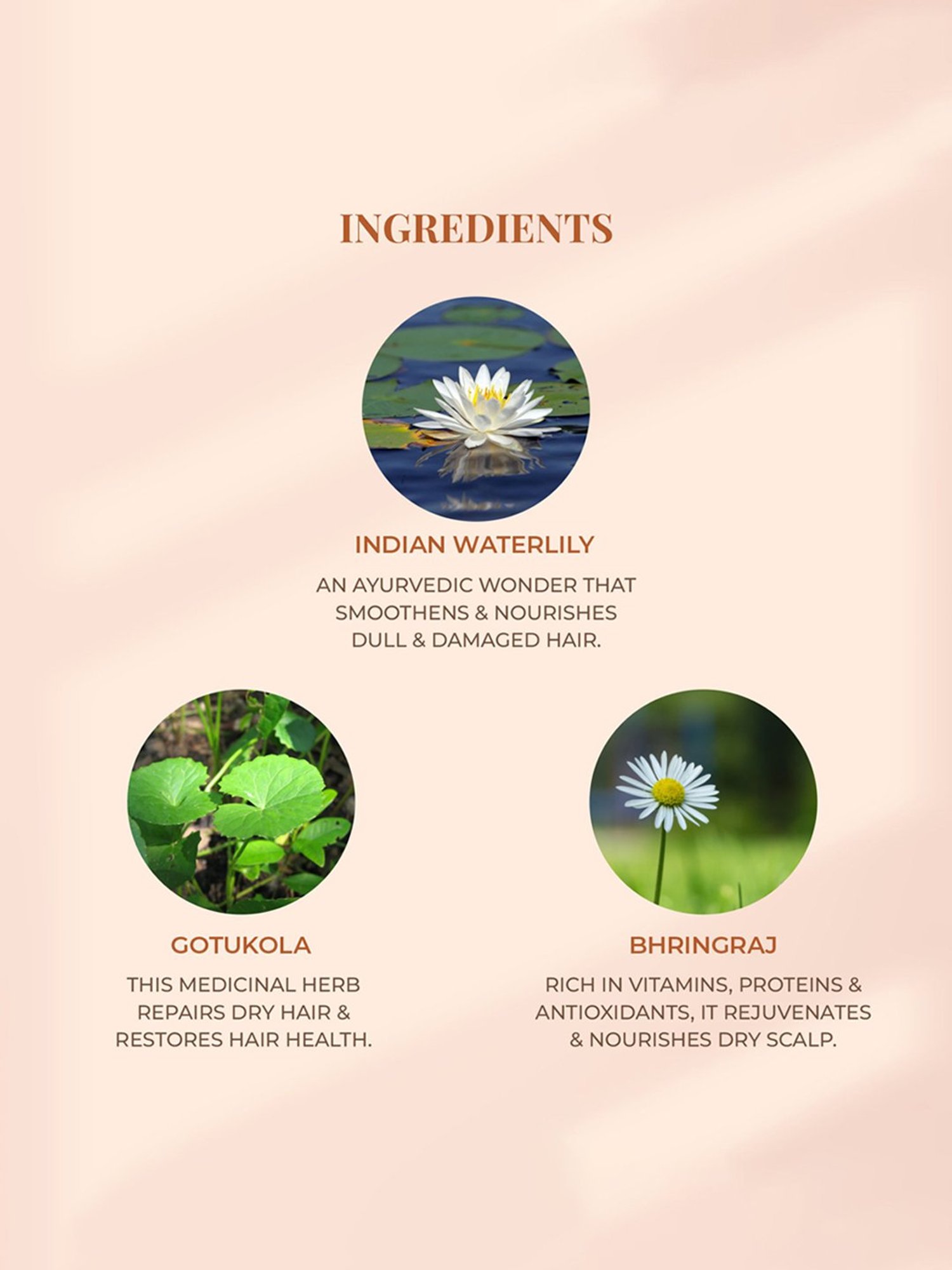 JUST HERBS Kumuda Indian White Water Lily Silicone Free Hair Conditioner - 200 ml