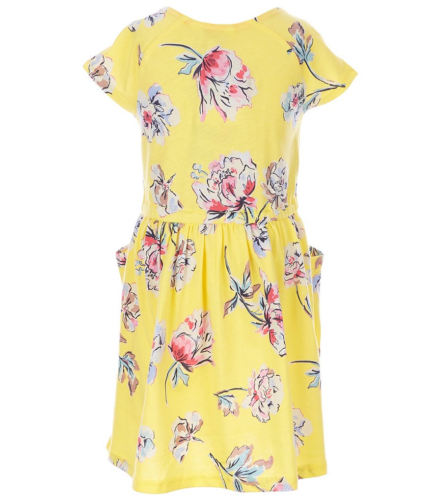 Peek Little/Big Girls 2T-12 Embroidered Chambray A-Line Dress