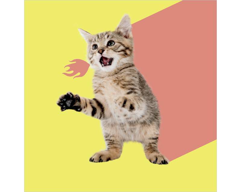 Laser Kitty Greeting Card