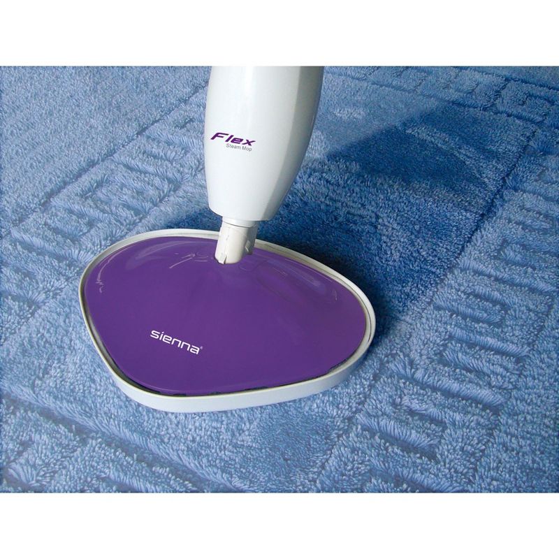 BISSELL ProHeat 2X Lift-Off Pet Upright Carpet Cleaner - 15651