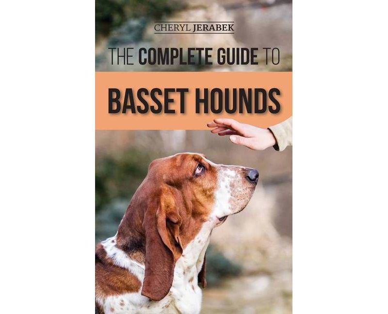 The Complete Guide to Basset Hounds - by  Cheryl Jerabek (Hardcover)