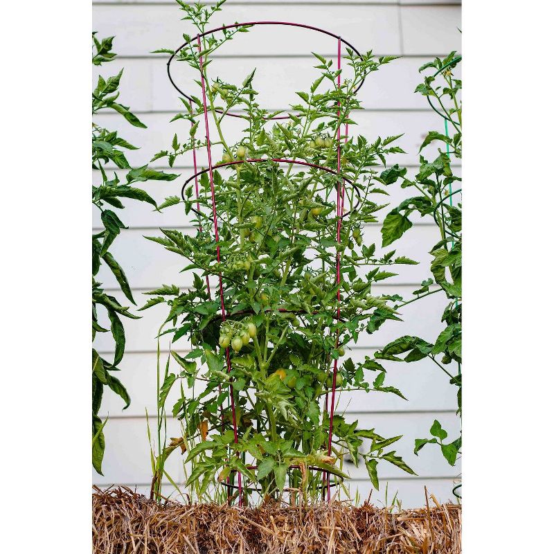 60" 5pk Gemz Heavy Duty Plant Support Ruby Red - Glamos