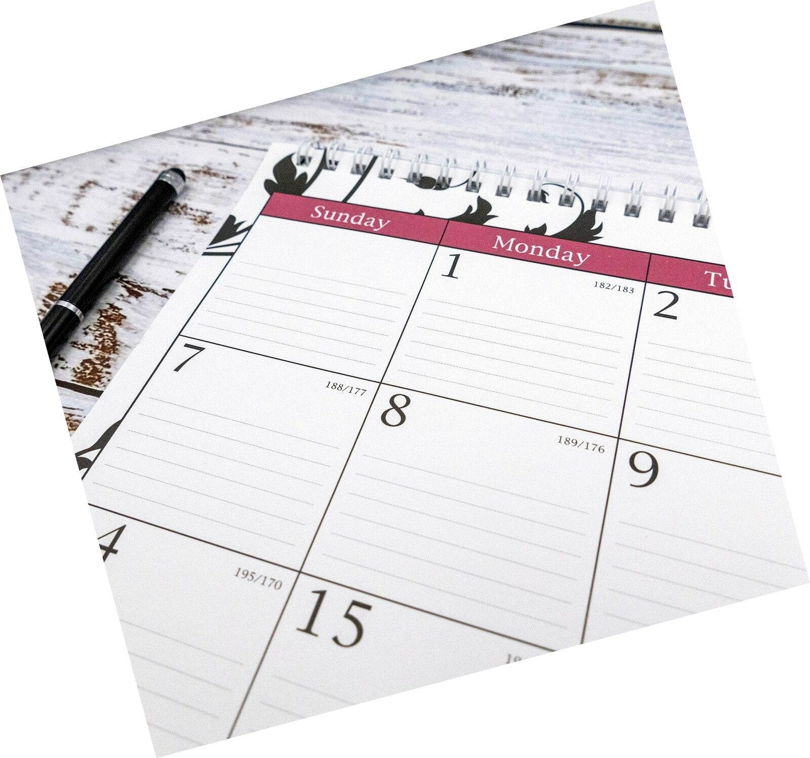 Blue Sky 2019-2020 Academic Year Wall Calendar, Twin-Wire Binding, 15" x 12",...