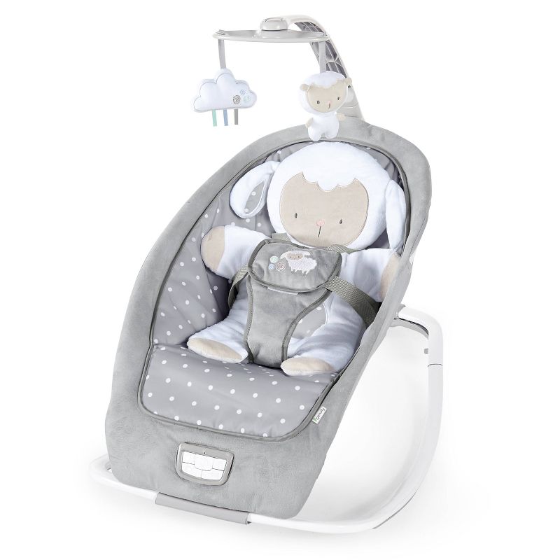 ​Fisher-Price Baby Bouncer