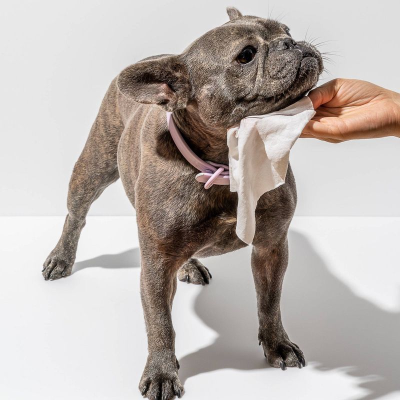 Wild One Biodegradable Grooming Dog Wipes - 70ct