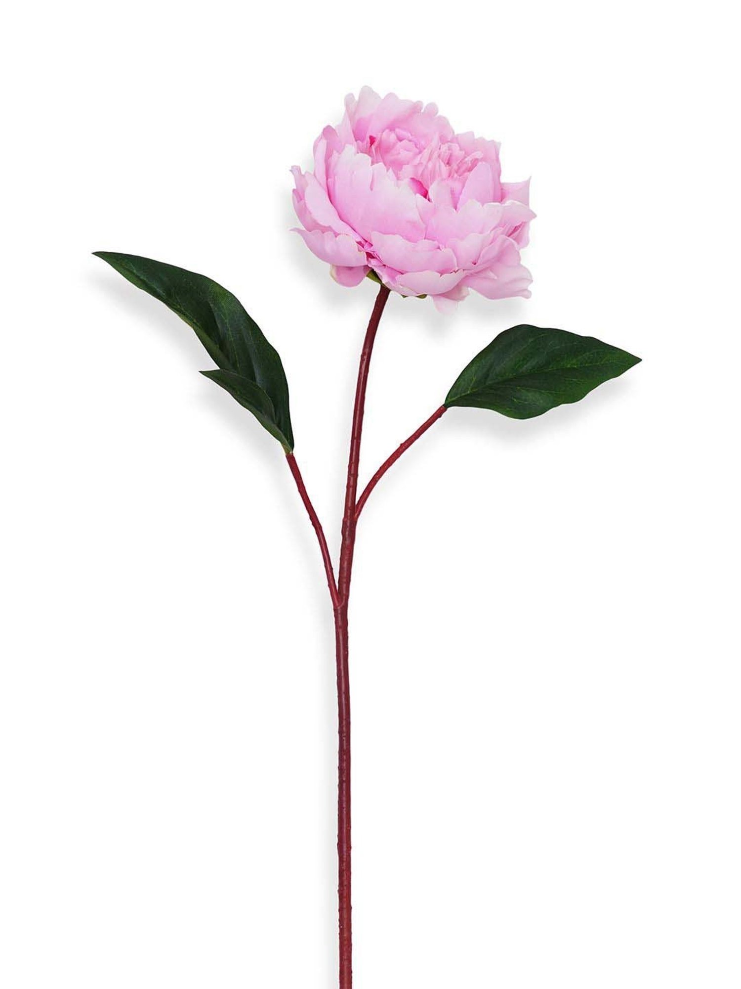 Pure Home and Living Light Pink Plastic Artificial Peony Flower Stem