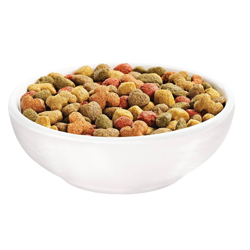 Purina Beneful Playful Life with Real Beef Adult Dry Dog Food - 14lbs