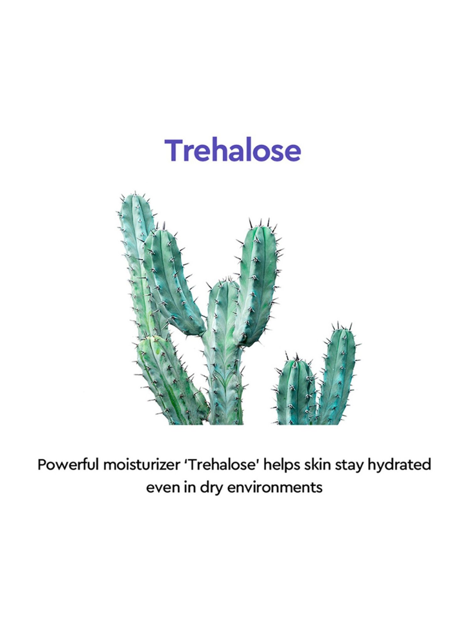 Dewytree Moisture Charging Collagen Cream - 50 ml