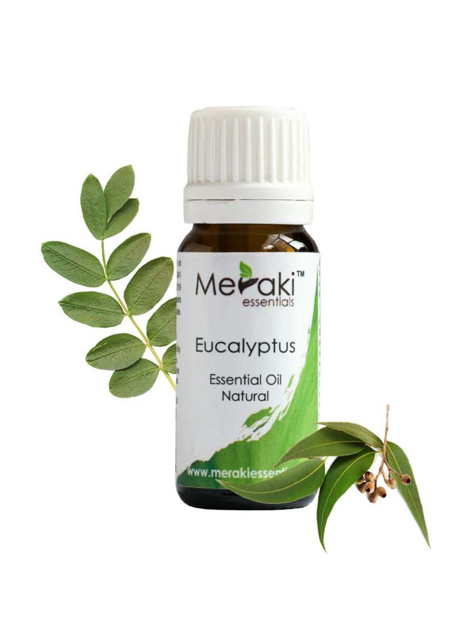 Meraki Essentials Eucalyptus Essential Oil - 10 ml