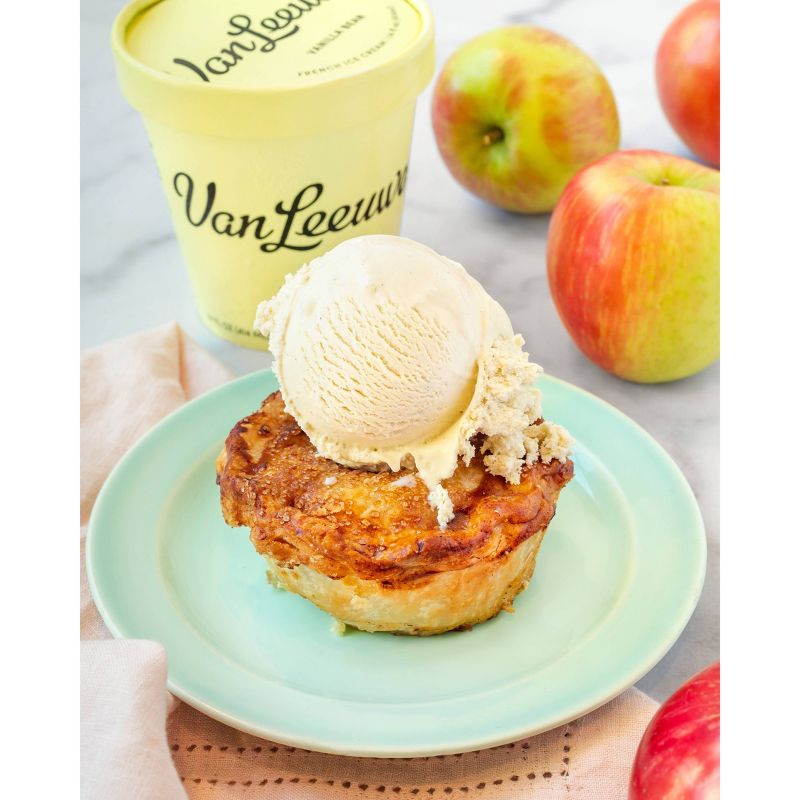 Van Leeuwen Vanilla Bean Ice Cream - 14oz