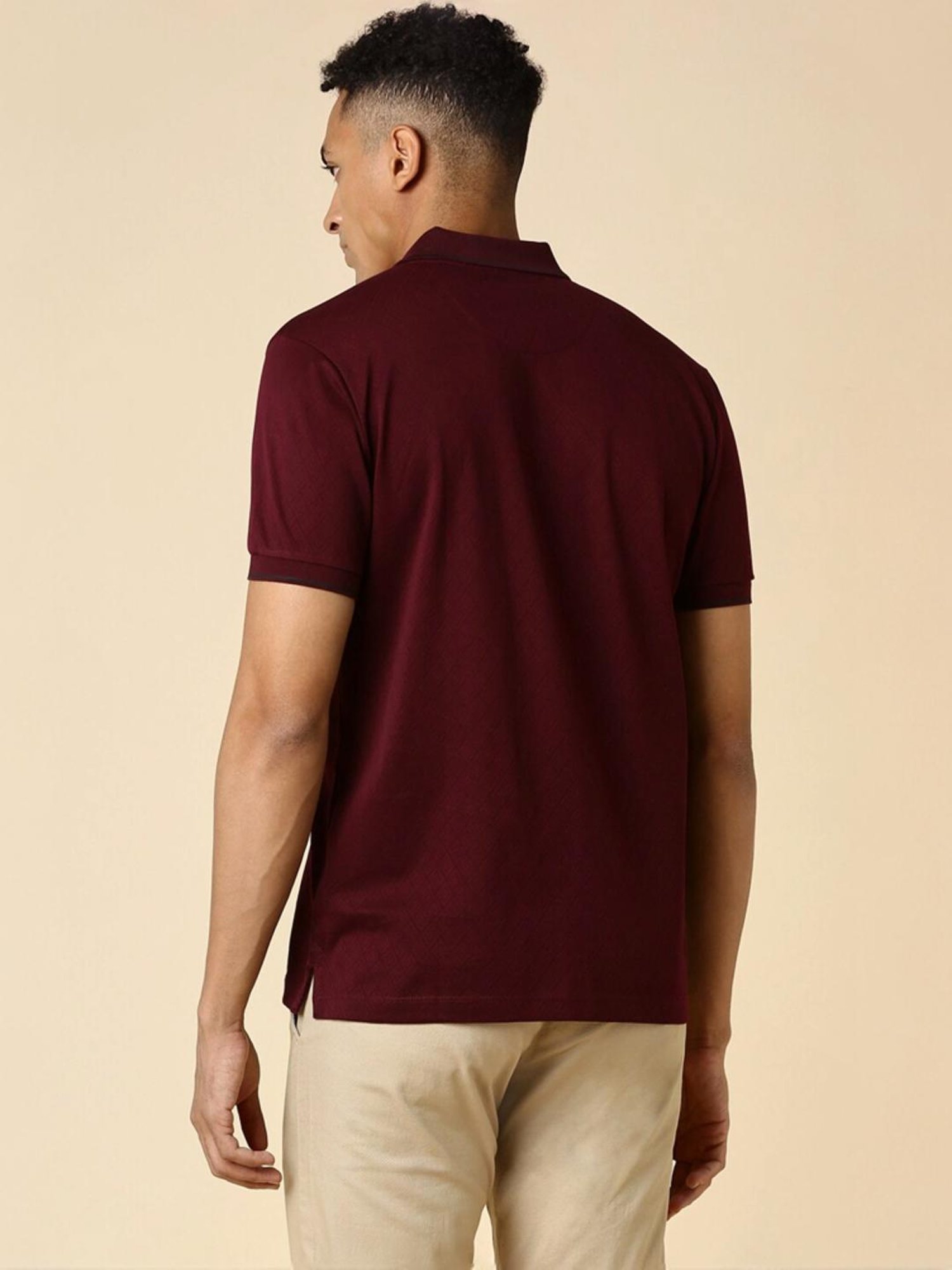 Allen Solly Maroon Regular Fit Polo T-Shirt