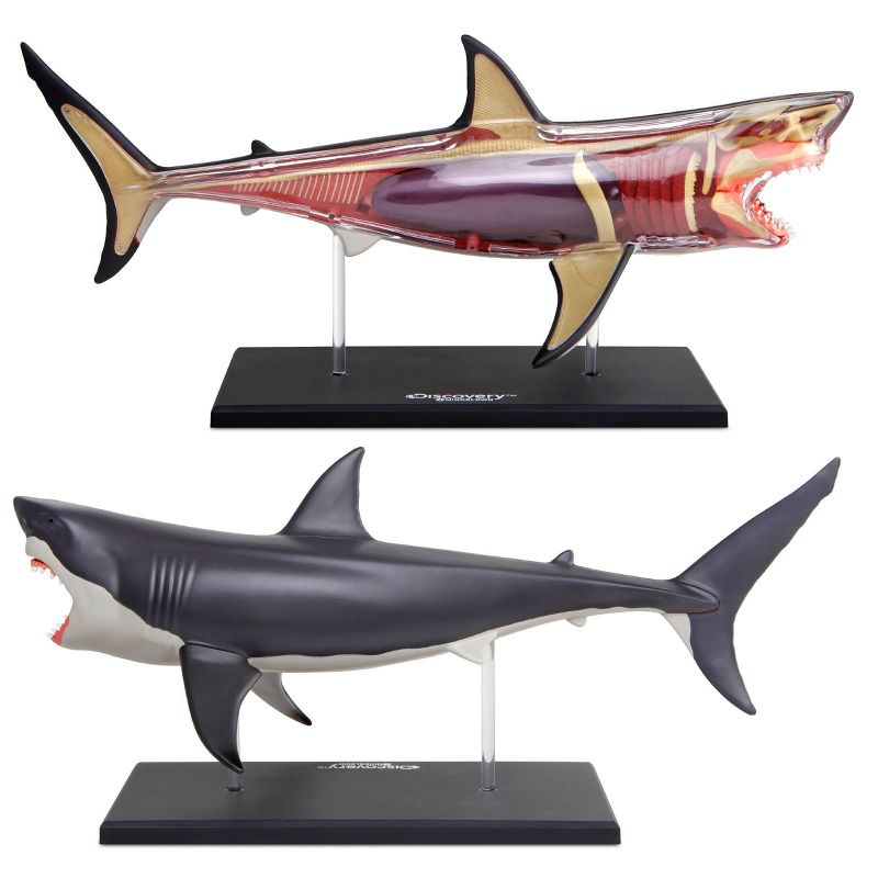 Discovery Kids Toy Anatomy Shark Kit