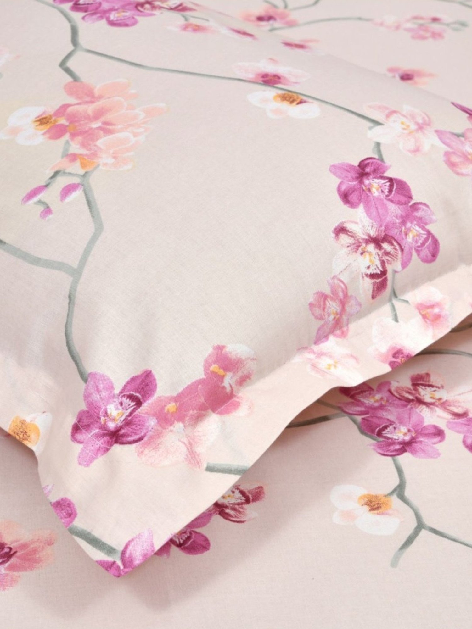 Haus & Kinder Serene Floral Art Pink 186 TC Cotton Queen Bed Sheet with 2 Pillow Covers