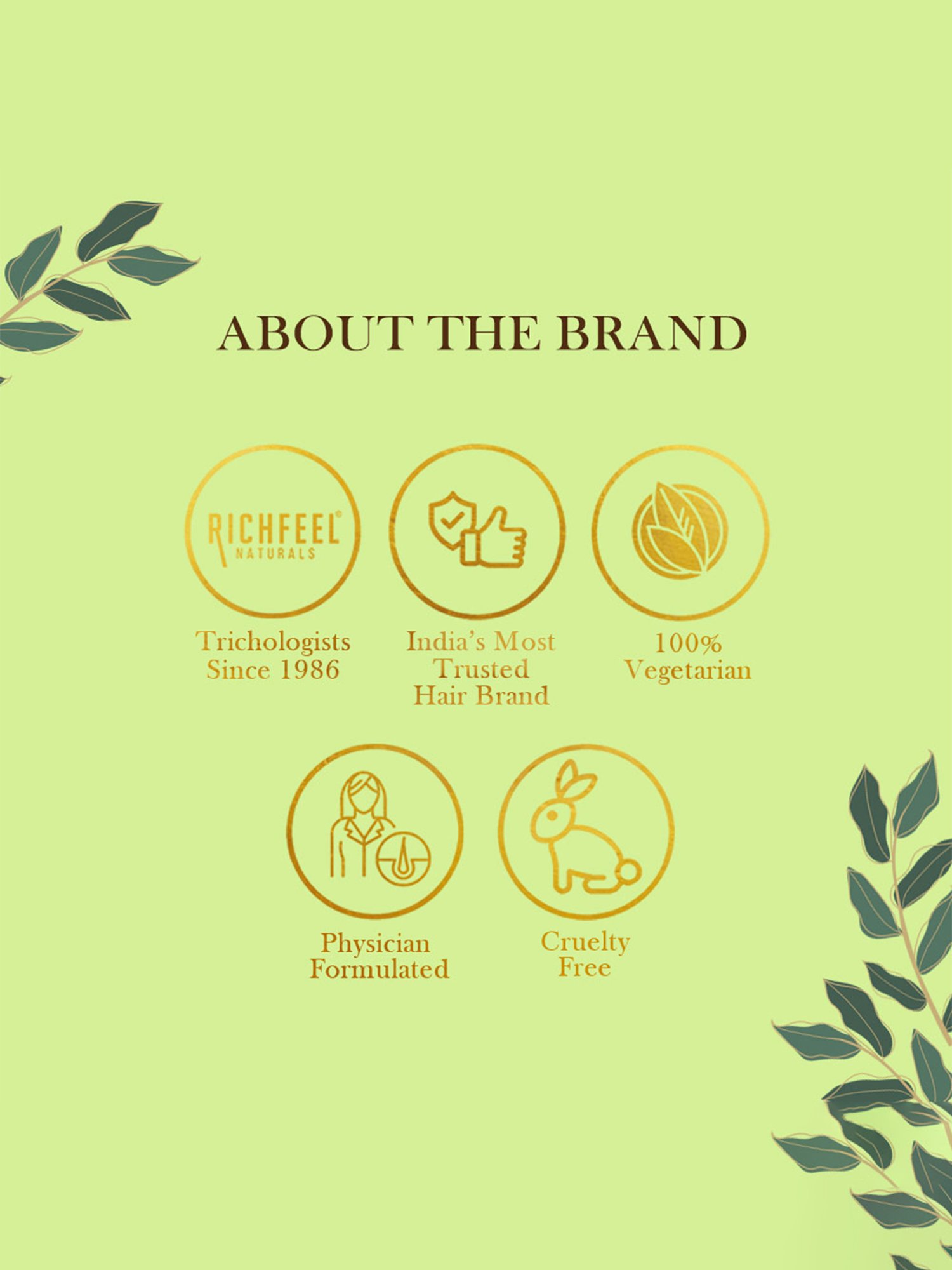 Richfeel Herbal Henna Mehendi - Pack of 7