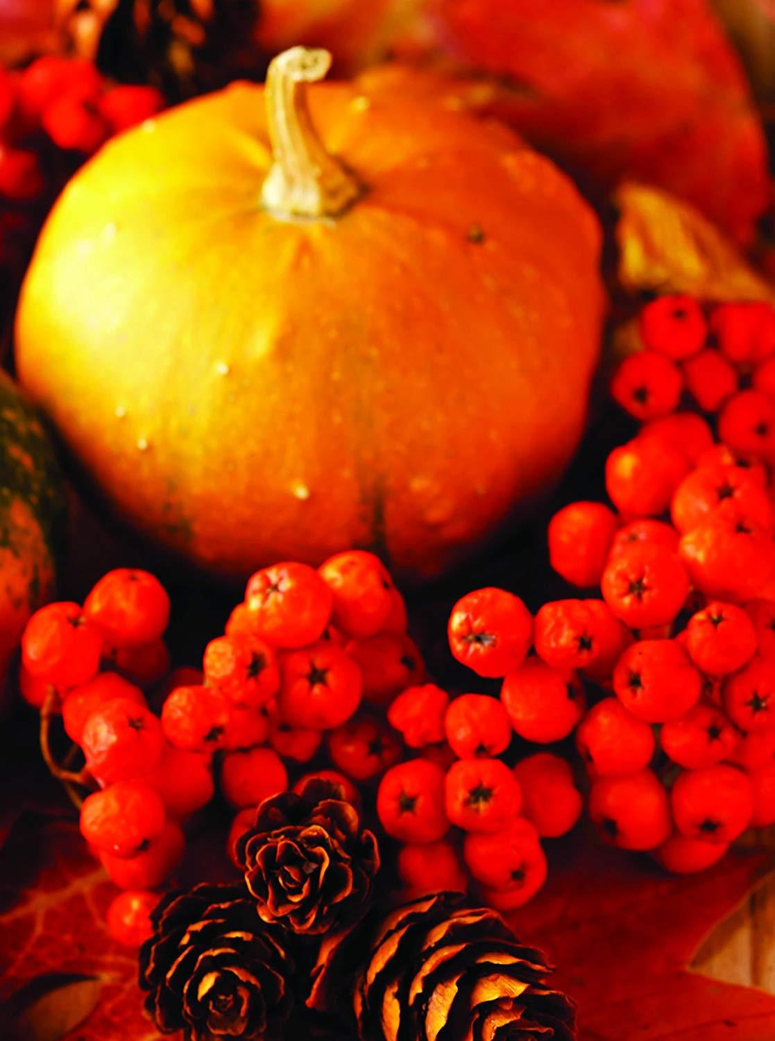 Turning of the Seasons Fall and Winter - 36 Note Cards - 6 Designs - Blank Cards - White Envelopes Included