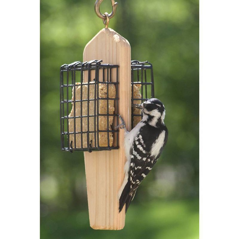 Birds Choice Suet Cages Bird Feeder