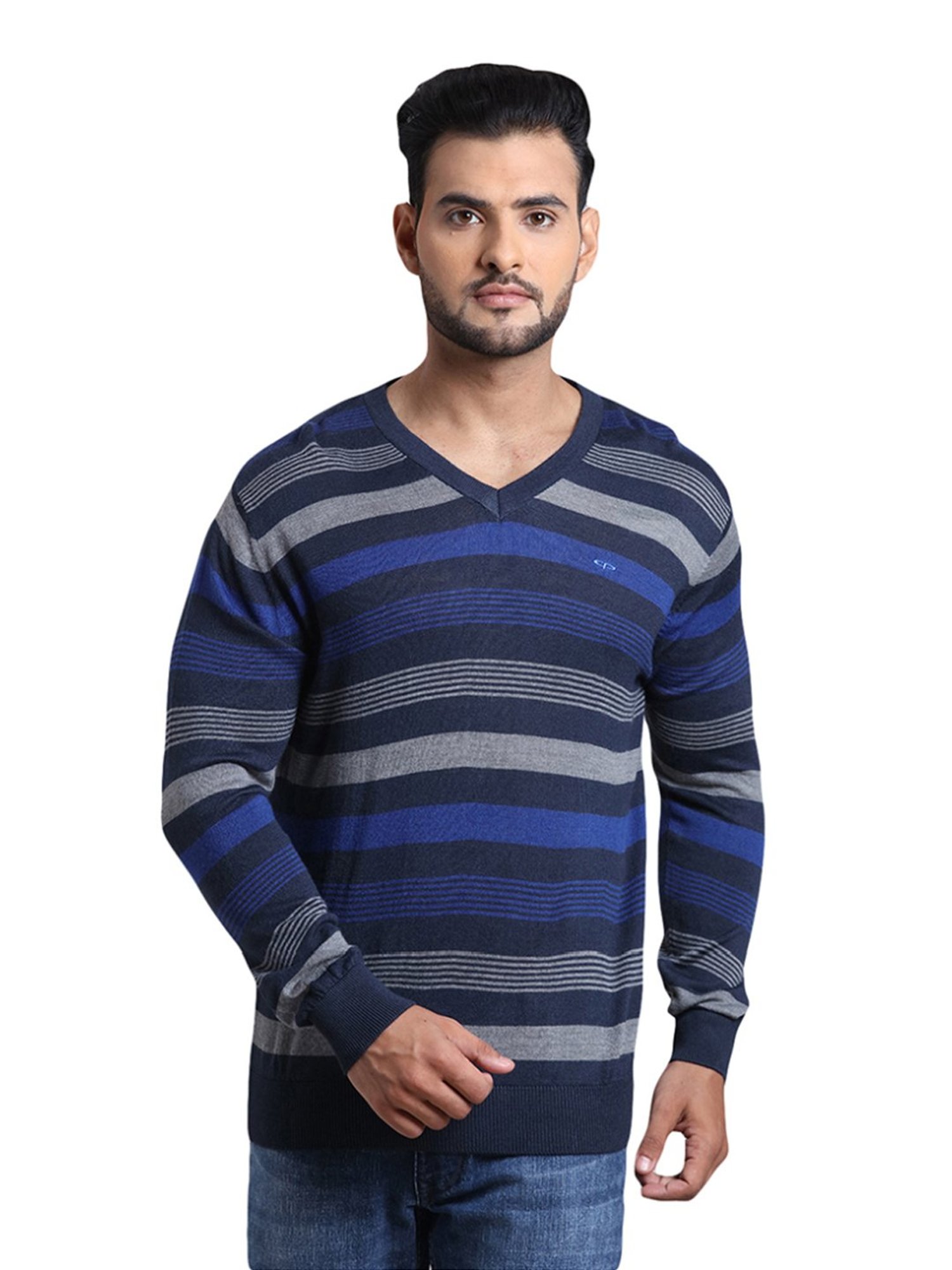 ColorPlus Blue Tailored Fit Striped Sweater