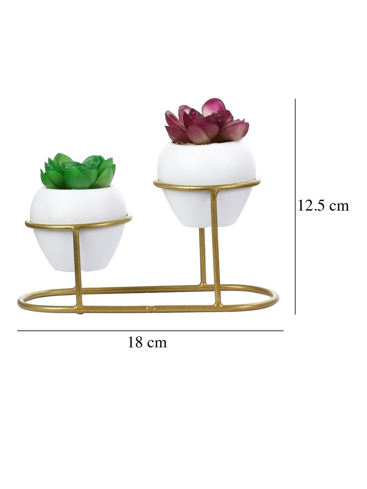 Foliyaj Multicolor Plastic Artificial Cactus Plants with Metal Holder - Set of 2