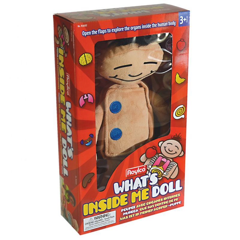 Roylco What's Inside Me Doll
