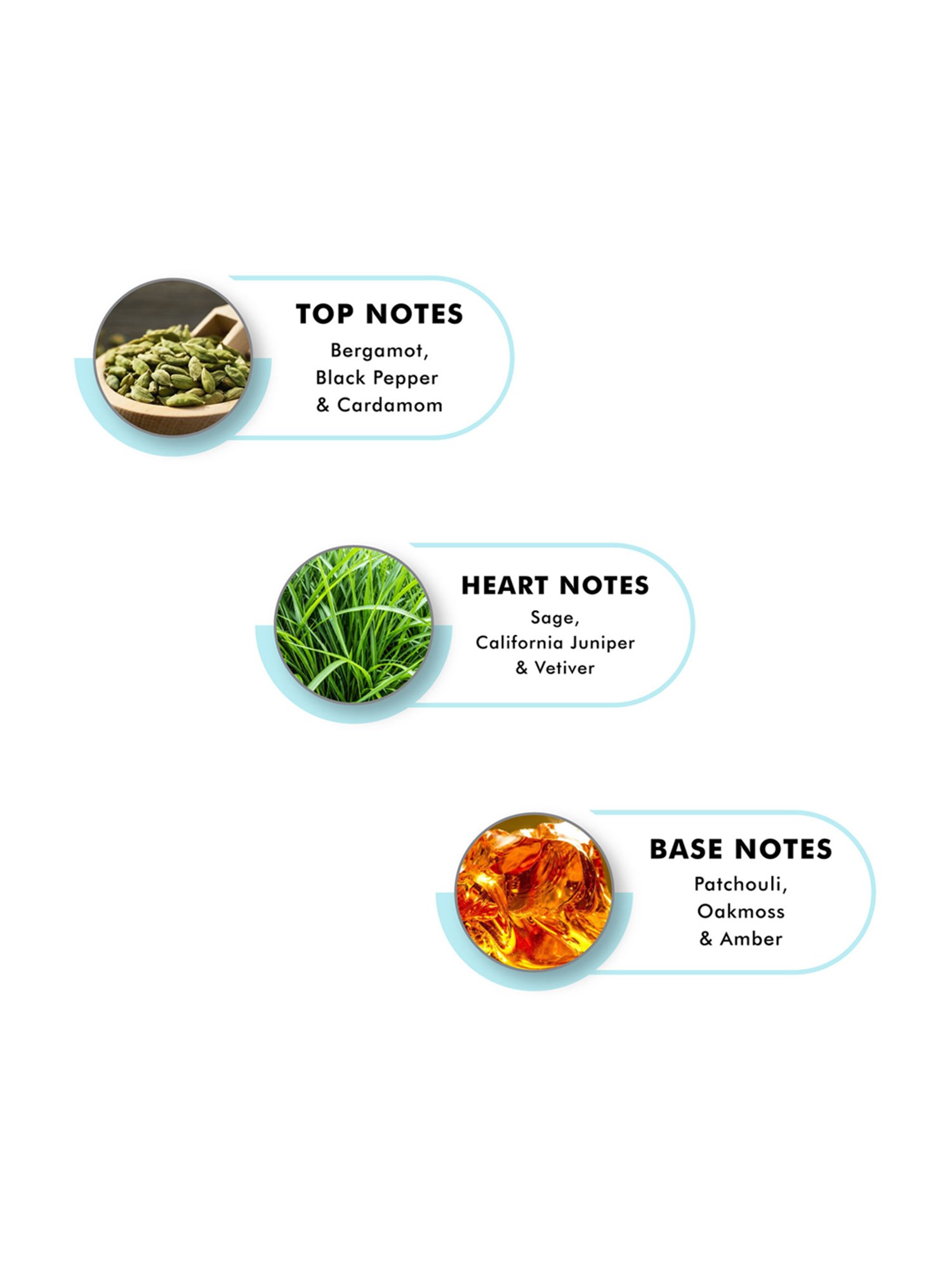 Hollister Canyon Escape Eau de Toilette for Him - 100 ml