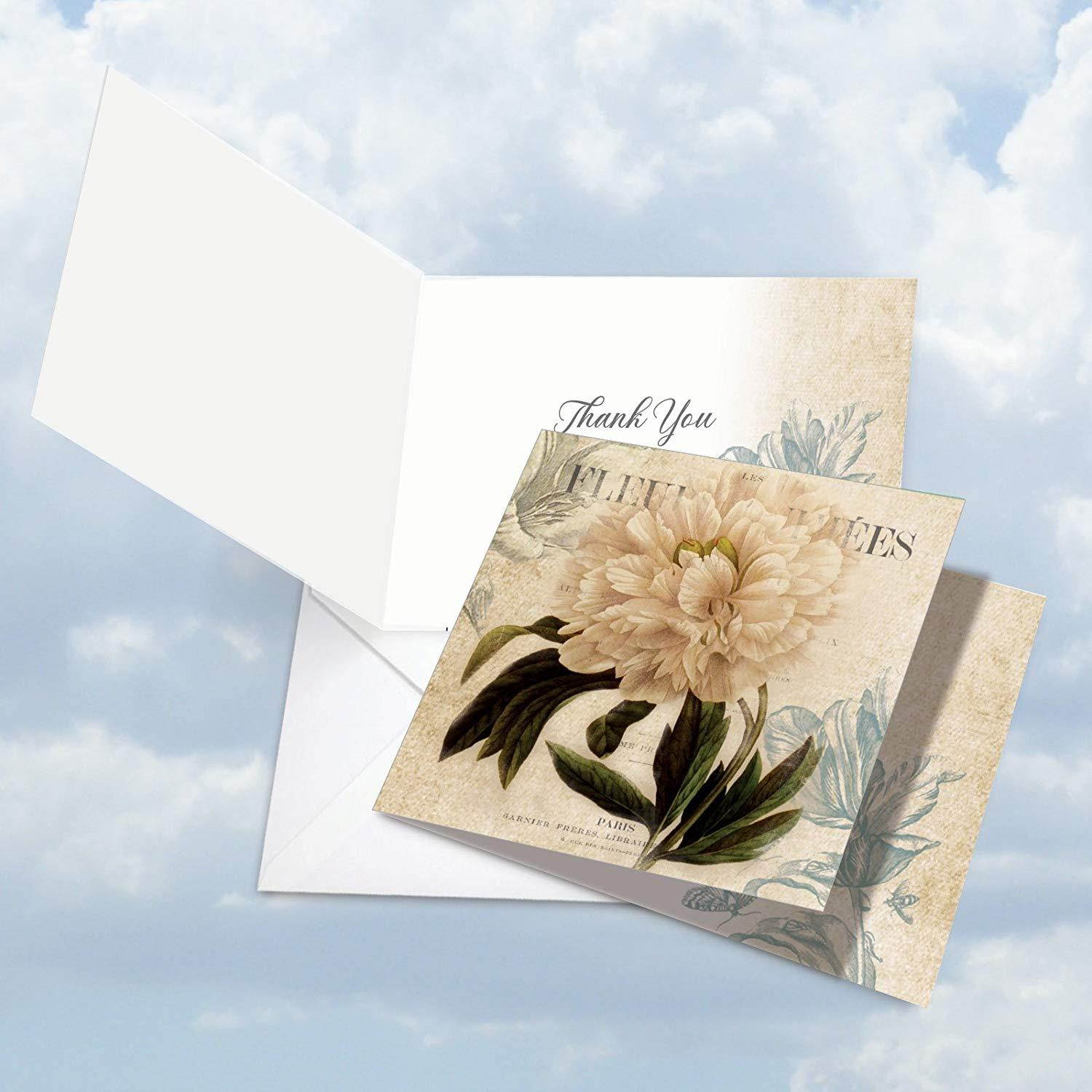 MQ4605TYG-B3x4 Painted Peonies: 12 Assorted 'Square-Top' Thank You Note Cards Featuring Collage Style Floral Images Combined with Printed Background Image with Envelopes.
