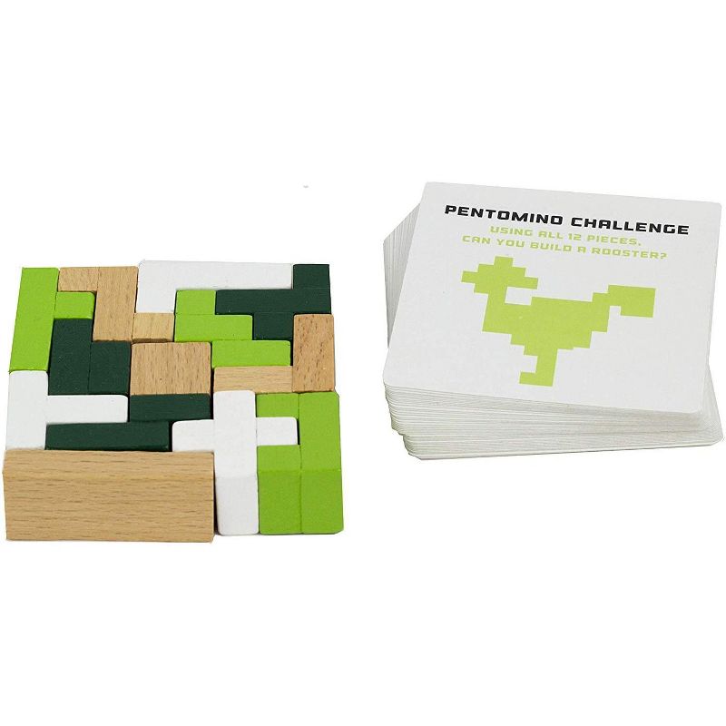 Professor Puzzle S.T.E.M. Mathematics Pentomino & Puzzle Cards Educational Games