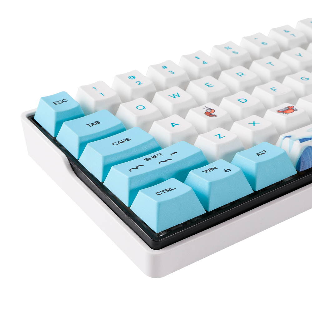 DIERYA x KEMOVE Customize PBT Double Shot DIY Pudding Keycaps, 70 Keys Mechanical Keycaps Set - OEM Profile+Cap Puller