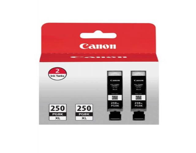 Canon PGI-250XL Pigment Black Ink, Twin Value Pack, Compatible to MG5520, MG6620, MG5420, MG5422, MG5522, MG5620, MG6320, MG6420, MG7120, MG7520, MX722, MX922, iP7220, iP8720, and iX6820