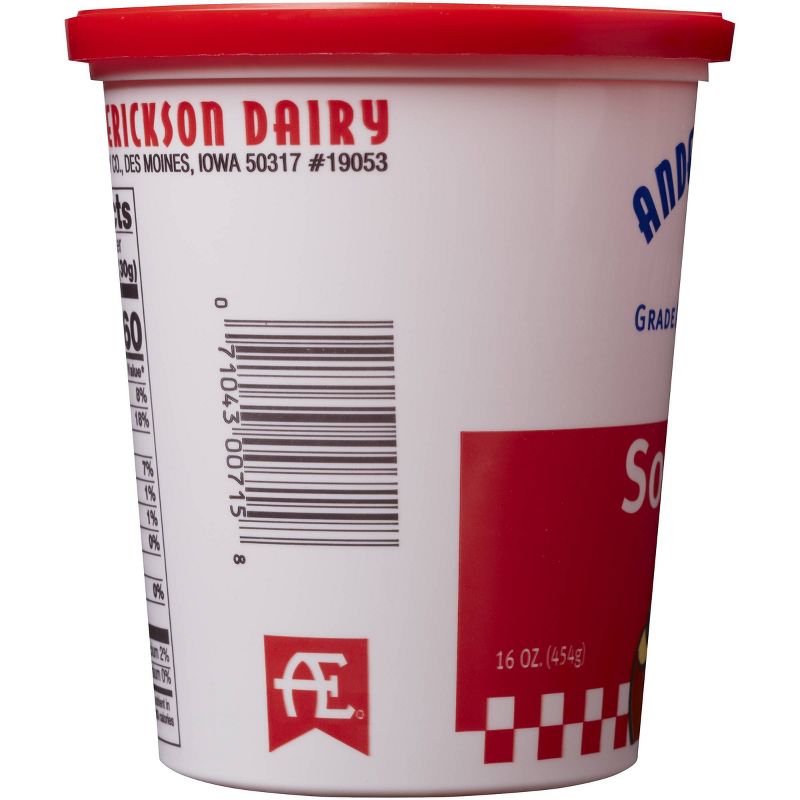 Anderson Erickson Sour Cream - 16oz