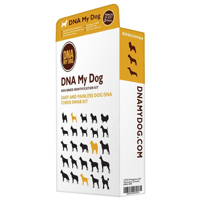 DNA My Dog Test Kit