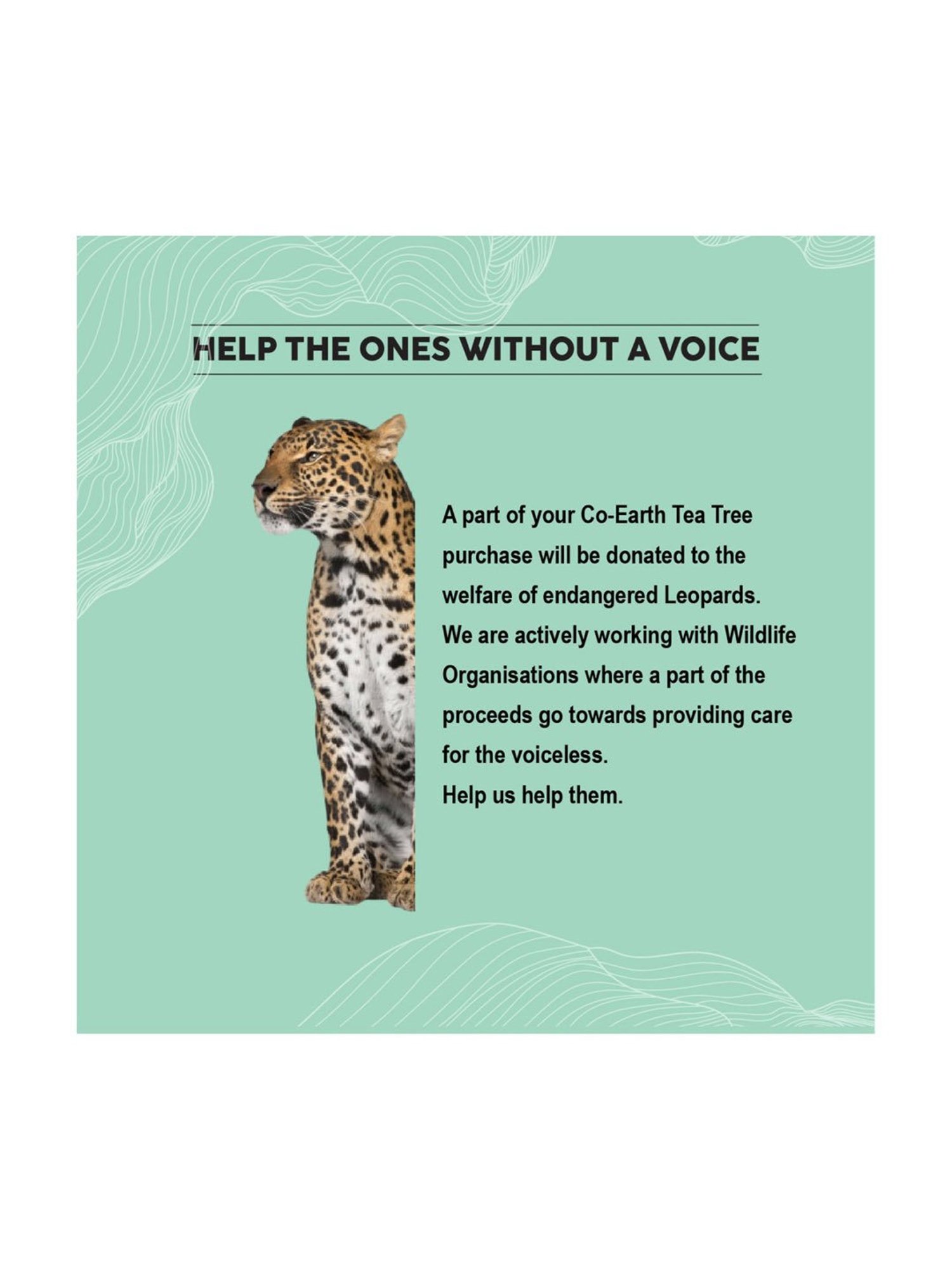 Colorbar Co-earth Tea Tree Face Mask - 100 gm