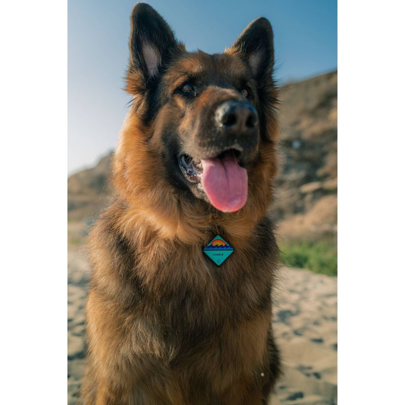 QALO Dog and Cat Tile Enabled Traq - Pink