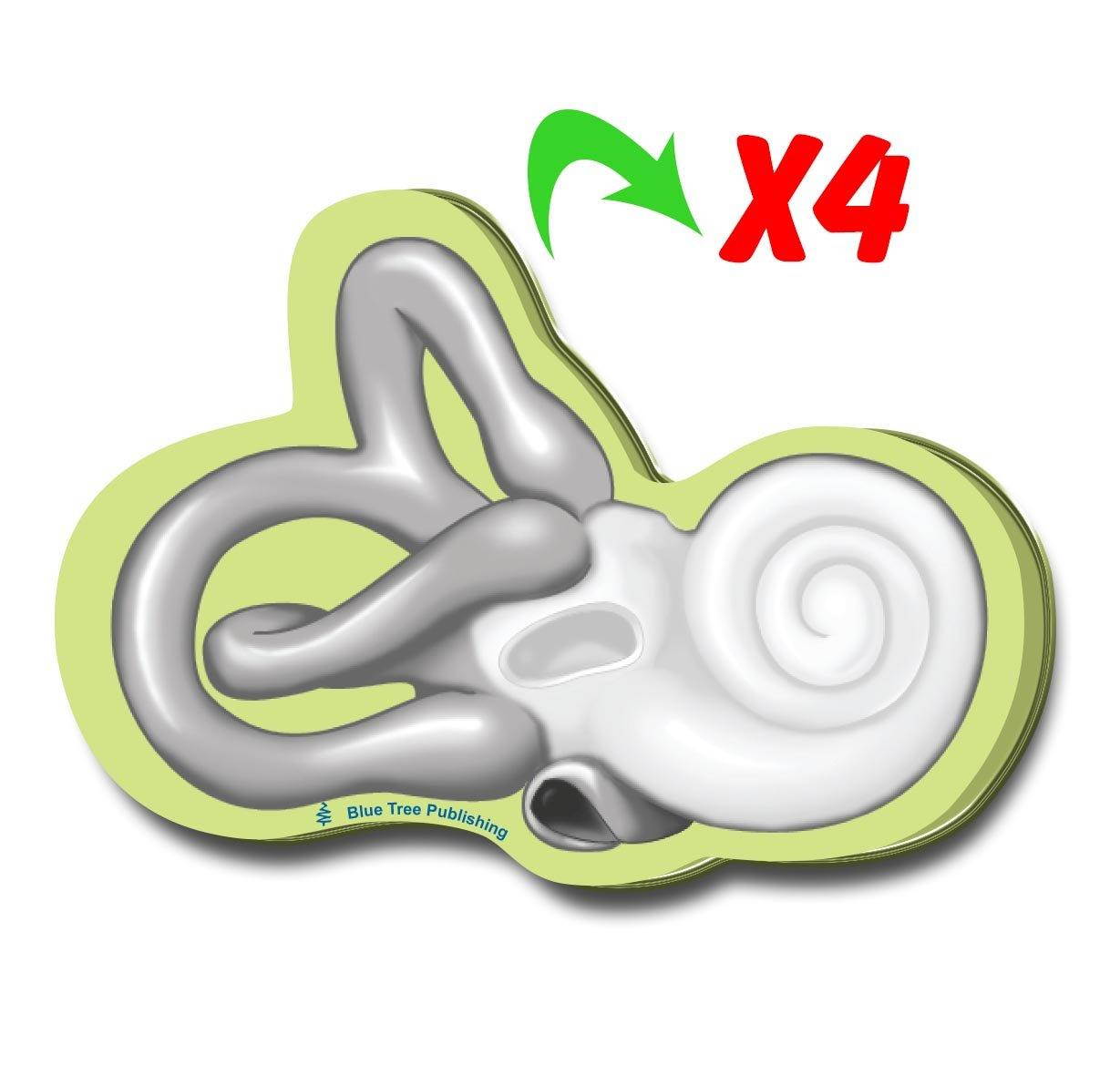 Cochlea Sticky Notes, 4 Packs-100 Sheets Per Pack