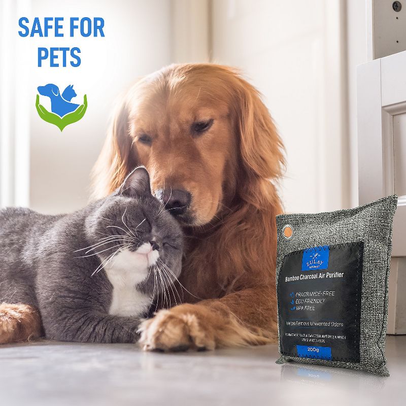 Zulay Kitchen 4 Pack 100% Bamboo Charcoal Air Purifying Bags - Activated Charcoal Odor Absorber - Odor Handler for Unpleasant Smells