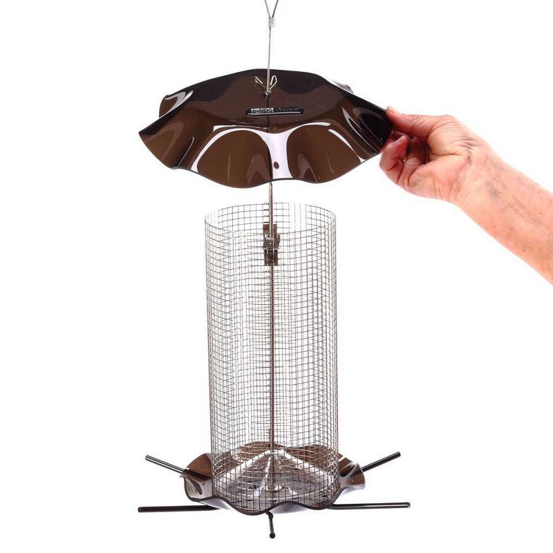 Birds Choice 3qt Forever Black Oil Sunflower Smokey Color