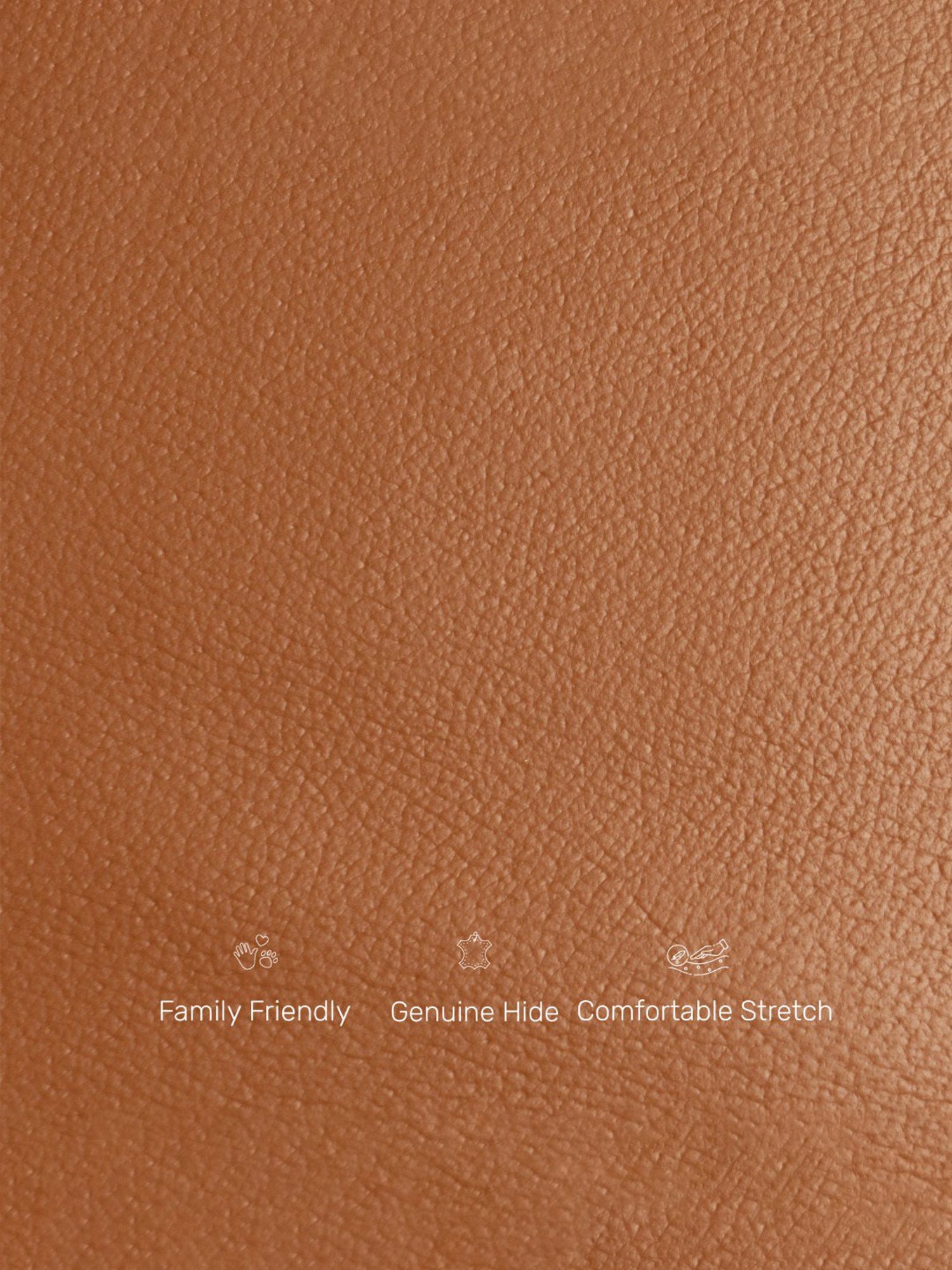 Durian Rosslyn Contemporary Tan Brown Leather Lounge Chair