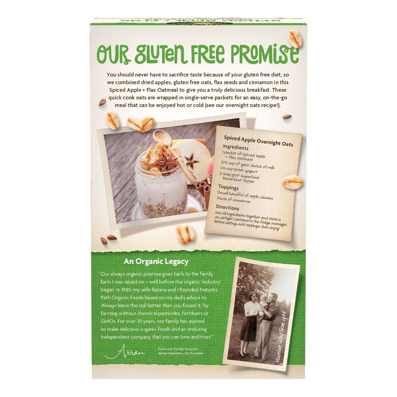 Nature's Path Organic Gluten Free Oatmeal  Spiced Apple with Flax - 11.3oz